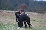 ENFANT ET CHIEN 582